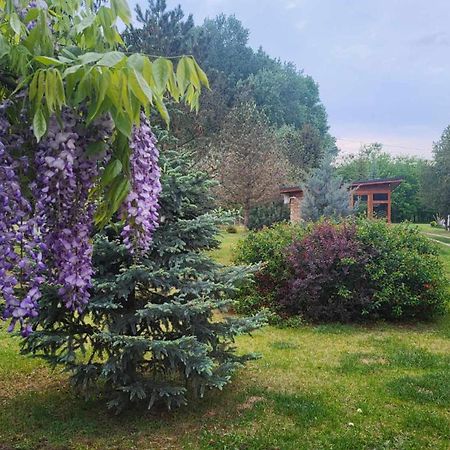 Gyoember Tanya Villa Ásotthalom Exteriör bild
