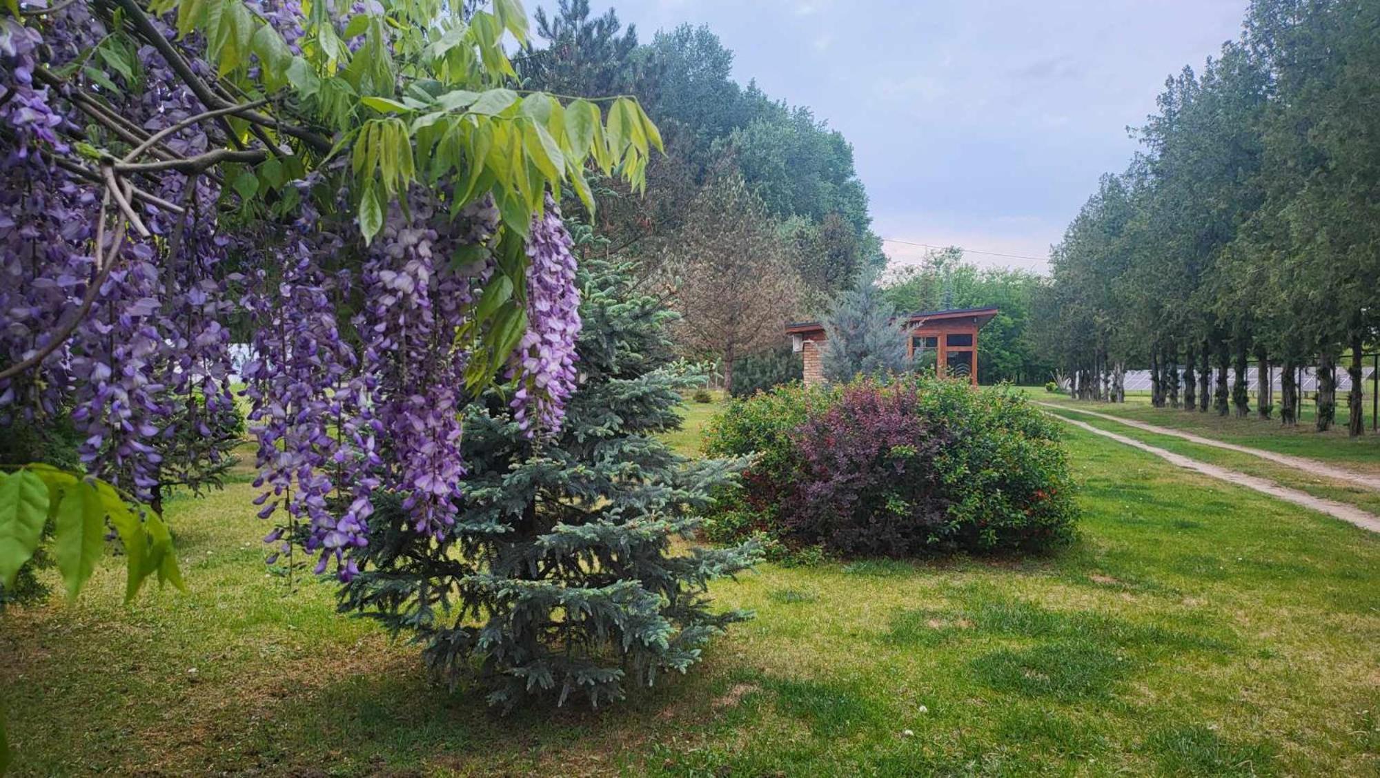 Gyoember Tanya Villa Ásotthalom Exteriör bild