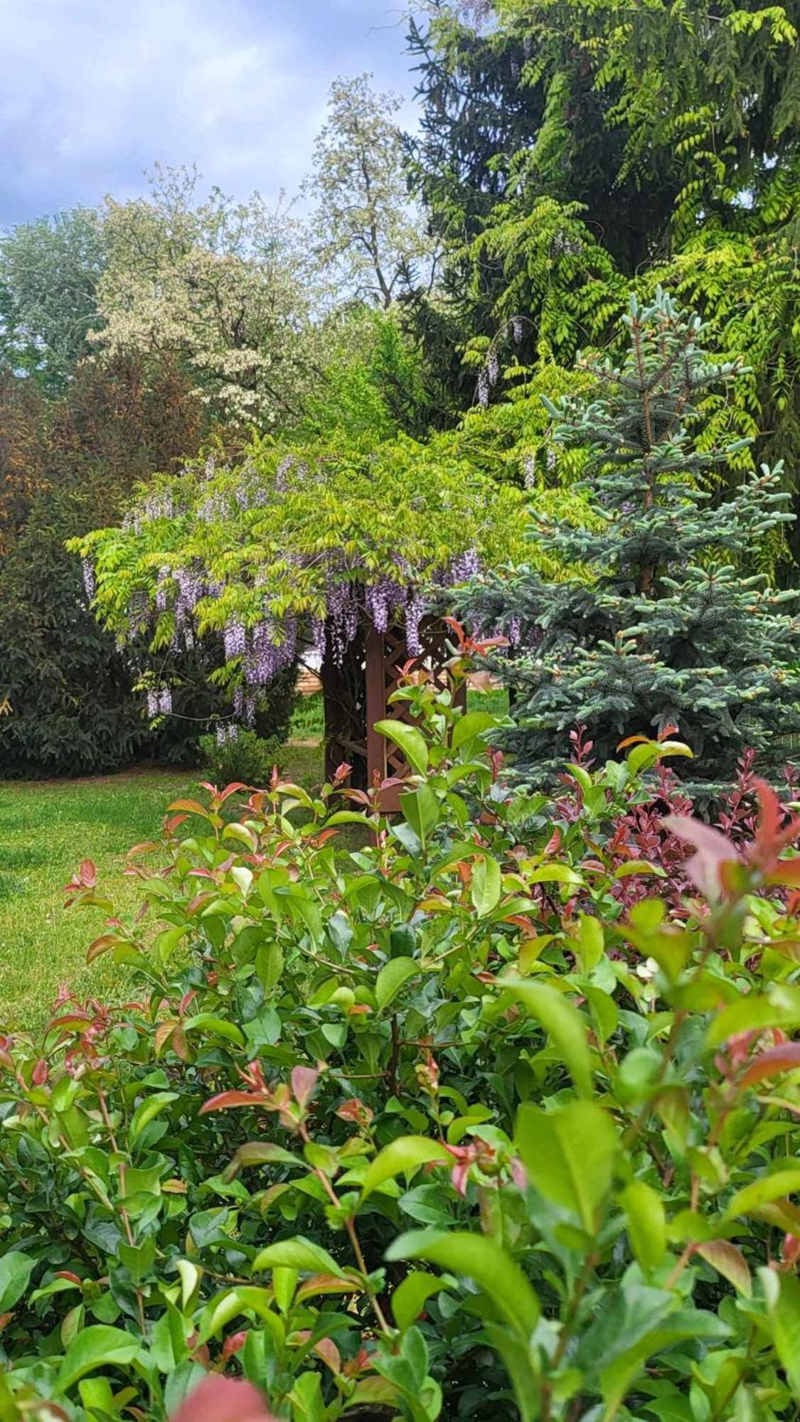 Gyoember Tanya Villa Ásotthalom Exteriör bild