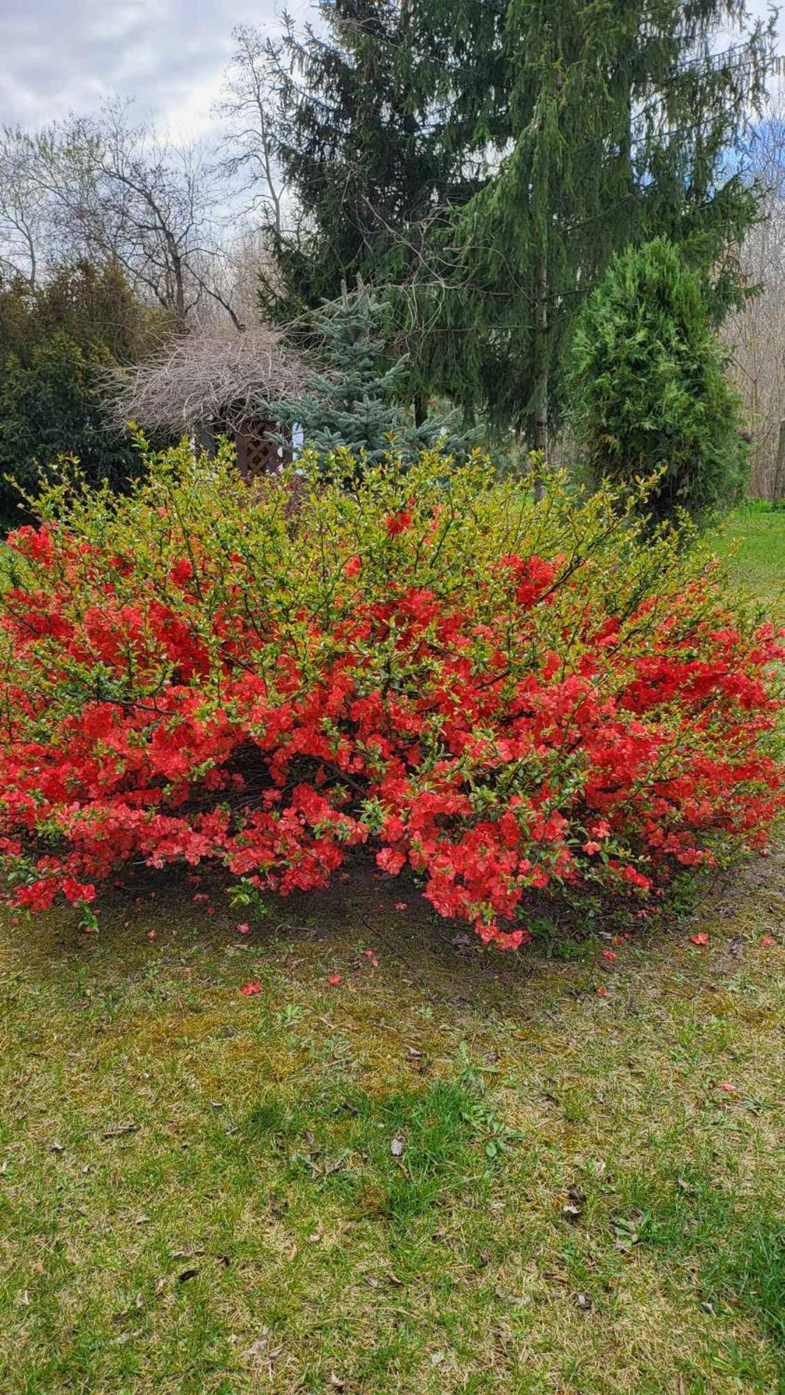 Gyoember Tanya Villa Ásotthalom Exteriör bild